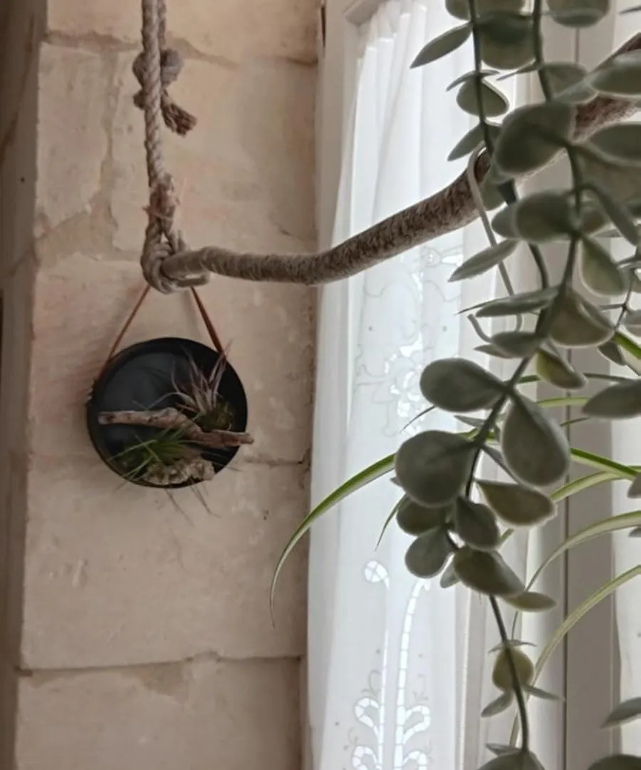 Bed and Breakfast Palazzo Emy Lecce